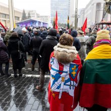 Sausio 13-osios minėjimas – triukšmingas: premjerė kalbą sakė su ašarom, protestuotojai rėkė „Gėda!“