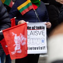 Po protesto – A. Orlausko pareiškimas apie valdžią: jie – ne vadovai, jie iškamšos