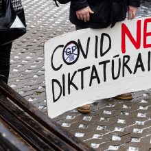 A. Bilotaitė: neapykantos kurstymas Lietuvai šventą dieną – nepateisinamas