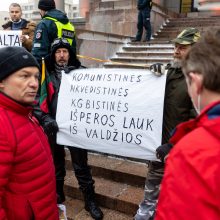 Po protesto – A. Orlausko pareiškimas apie valdžią: jie – ne vadovai, jie iškamšos