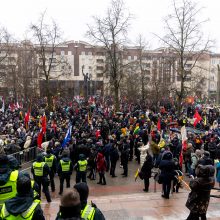 Po protesto – A. Orlausko pareiškimas apie valdžią: jie – ne vadovai, jie iškamšos