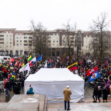 Sausio 13-osios minėjimas – triukšmingas: premjerė kalbą sakė su ašarom, protestuotojai rėkė „Gėda!“