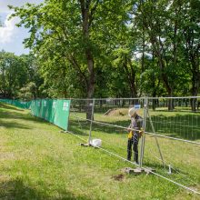 Sapiegų parkui pjūklai jau išgaląsti