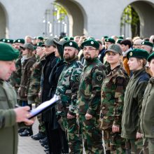 Seimas patvirtino rengimo pilietiniam pasipriešinimui strategiją: gynyba – ne tik ginklu