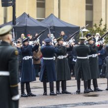 Po protesto – A. Orlausko pareiškimas apie valdžią: jie – ne vadovai, jie iškamšos