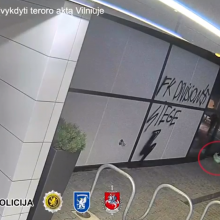 Teroro aktą Vilniuje rengęs jaunuolis – neonacių gretose