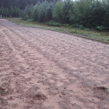 Meškų pėdsakai Lietuvoje jau nestebina