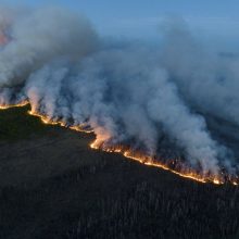 Kazachstane miškų gaisruose žuvo keturiolika žmonių