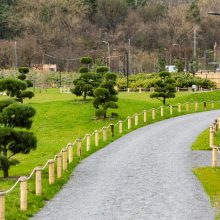 Pražydusios sakuros kviečia į naują žaliąją Vilniaus erdvę – Japonišką sodą