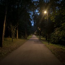 Pagaliau nušvito ilgus metus tamsoje skendėję Vingio parko takai