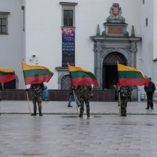 Lietuvos vėliavos dieną Gedimino pilies bokšte iškilmingai iškelta Trispalvė