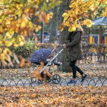 Zonos be dūmų: Vilniaus vaikų žaidimų aikštelėse nebeliks rūkalių