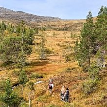 Norvegiško gyvenimo ypatumai lietuvio akimis