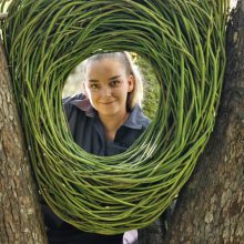 Girionys suburs LAND ART mylėtojus