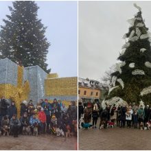 Prie Kalėdų eglių – spanielių ir jų šeimininkų linksmybės