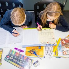 Šokiruoja kaina už mokinio pratybas: tėvams tenka išleisti trečdalį atlyginimo?