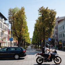 Kas nutiko Laisvės alėjos liepoms? Ruduoja lapai