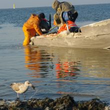 Po uosto pertvarkymo – kompensacija žvejams
