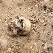 Namo kieme Užupyje rasti trijų žmonių kaulai