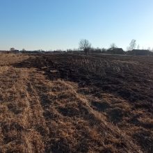 Vilniuje ir Trakuose vyksta reidai: gaudomi pernykštės žolės padegėjai