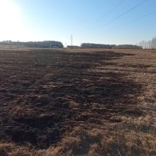 Vilniuje ir Trakuose vyksta reidai: gaudomi pernykštės žolės padegėjai