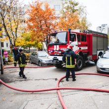 Kauno daugiabutyje gaisras: aštuntame aukšte degė butas – žuvo keturios katės