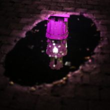 Kaunas pagerbė neišnešiotus naujagimius: Rotušė nušvito purpurine spalva