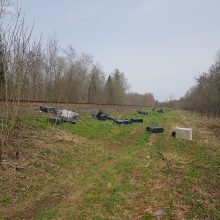 Pasieniečiai prie geležinkelio bėgių Šalčininkų rajone rado 42 tūkst. pakelių cigarečių