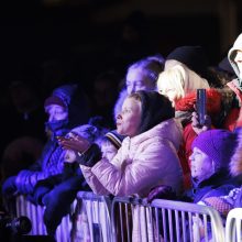 Jonavoje suspindo ne tik Kalėdų eglė – nušvito ir pasakiškas eglučių miestelis