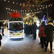 Jonavoje suspindo ne tik Kalėdų eglė – nušvito ir pasakiškas eglučių miestelis