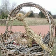 Lietuvoje perinčių paukščių kiaušiniai stebina įvairiausiomis spalvomis