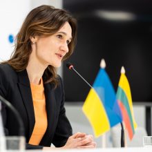 V. Blinkevičiūtė džiaugiasi socialdemokratų rezultatais: atstovų bus visose savivaldybėse
