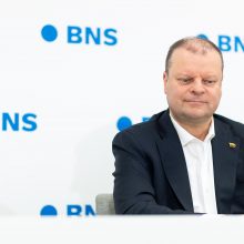 V. Blinkevičiūtė džiaugiasi socialdemokratų rezultatais: atstovų bus visose savivaldybėse