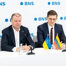 V. Blinkevičiūtė džiaugiasi socialdemokratų rezultatais: atstovų bus visose savivaldybėse