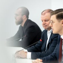 V. Blinkevičiūtė džiaugiasi socialdemokratų rezultatais: atstovų bus visose savivaldybėse