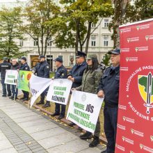 Pareigūnai protestuoja prieš naująjį Statutą: ant šieno krūvos uždėta vyšnia nėra tortas