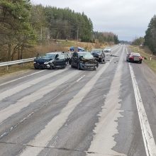 Molėtų plente į kelią išbėgus briedžiui susidūrė trys automobiliai: vairuotojas – ligoninėje