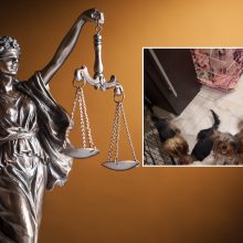 Teismo kirtis veisėjai iš Tauragės: konfiskavo šunis ir patvirtino skirtą baudą