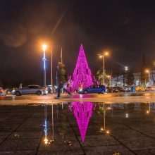 Vilniaus Kalėdų eglutės pripažinimo gražiausia dar teks palaukti