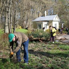 Ukrainiečiai padėkos talkoje tvarkė Vilniaus miesto parkus