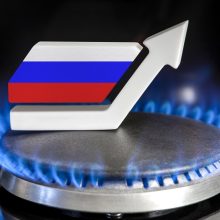 „Bloomberg“: Kinija susilaiko nuo V. Putino siūlymo didinti rusiškų dujų importą