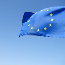 Seimas ragina Sakartvelą nenukrypti nuo euroatlantinės integracijos kelio