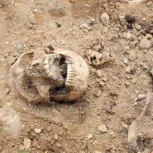 Laukuose Kauno rajone rasti žmogaus kaulų fragmentai