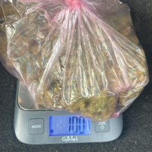 Smūgis narkomafijai: teisėsauga neleido į rinką patekti daugiau nei kilogramui kanapių
