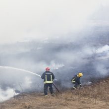 Žolės degintojams gresia baudos, teks atlyginti ir padarytą žalą gamtai