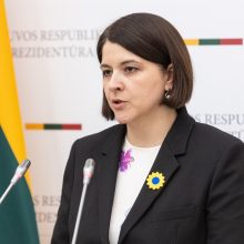 G. Skaistė tikisi, kad ES vasarį nuspręs dėl įšaldyto Rusijos turto panaudojimo Ukrainai