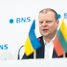 S. Skvernelis: rinkimų rezultatai – geri, bet galėjo būti ir geresni