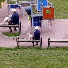 Plinta šiurpą keliantis vaizdo įrašas: į galimos zoofilės paieškas įsitraukė policija