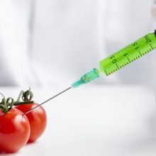Tyrėjai ragina pertvarkyti ES reikalavimus dėl GMO, ekologai priešinasi