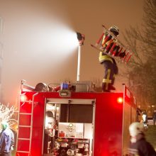 Bute užsiliepsnojus vandens šildytuvui Kauno ugniagesiai išgelbėjo du gyvūnus